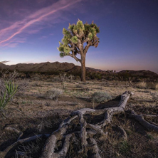 A Fragile Planet Photo Exhibition at The Haven by Jacada Travel