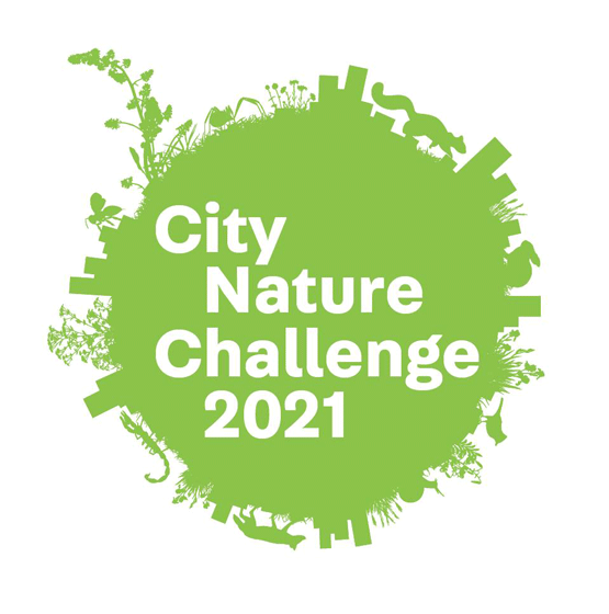 City Nature Challenge 2021