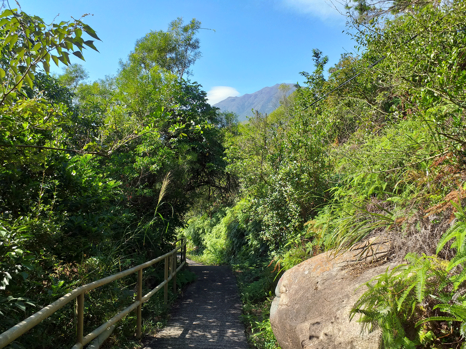 November in Hong Kong ... naturally