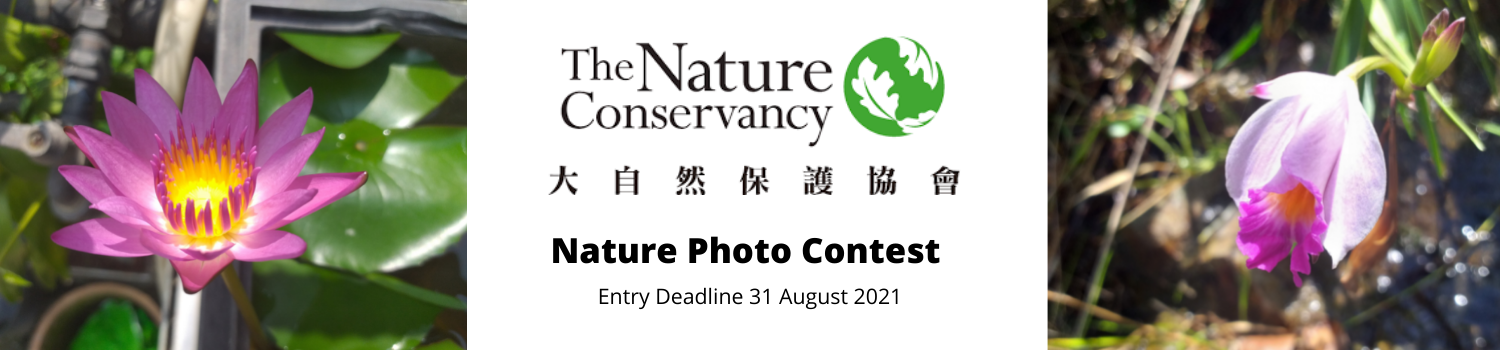 TNC Nature Photo Contest