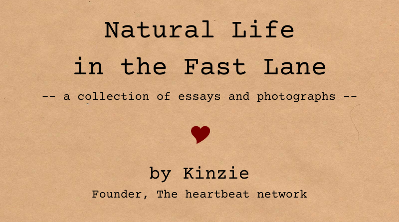 Natural life in the fast lane