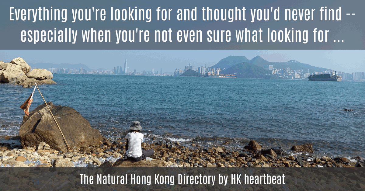 HK heartbeat -- the natural network