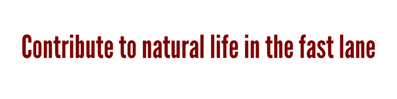 Contribute to natural life in the fast lane